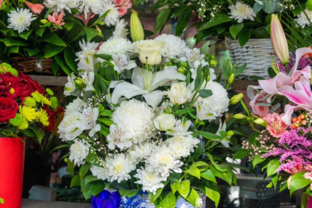 Kirribilli Flower Delivery
