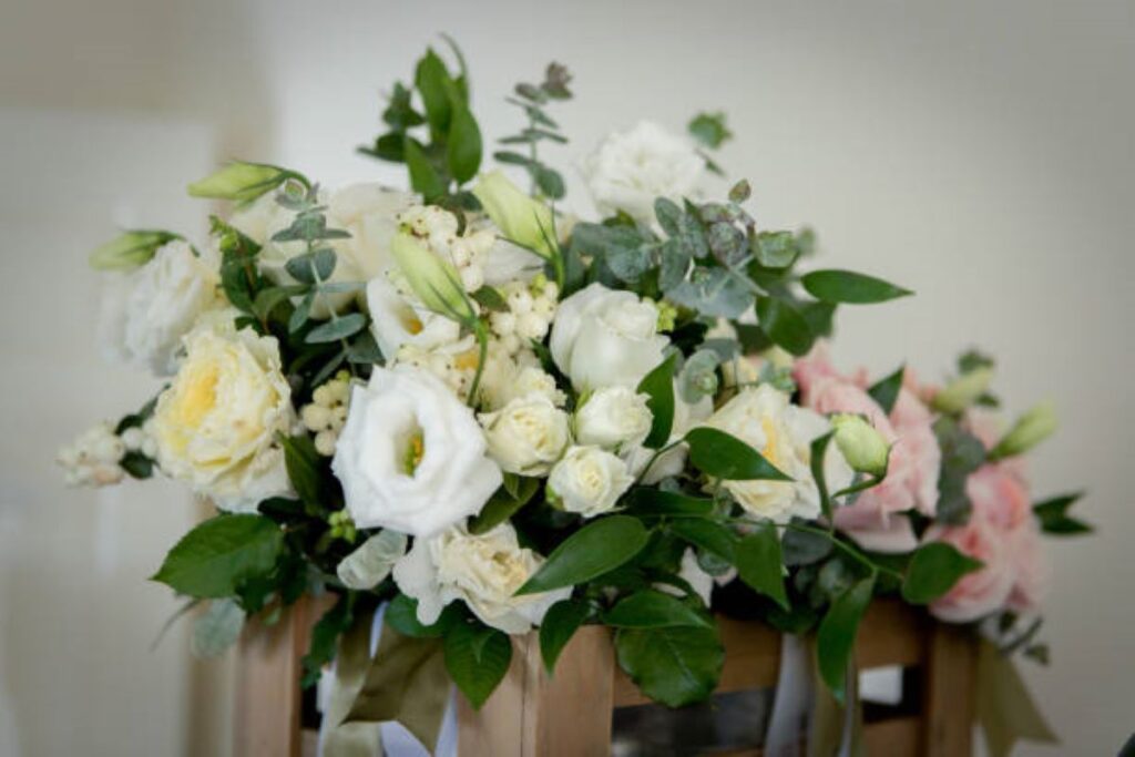 Kirribilli Flowers