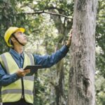 What Are the Hidden Costs of Emergency Tree Removal in Hunters Hill