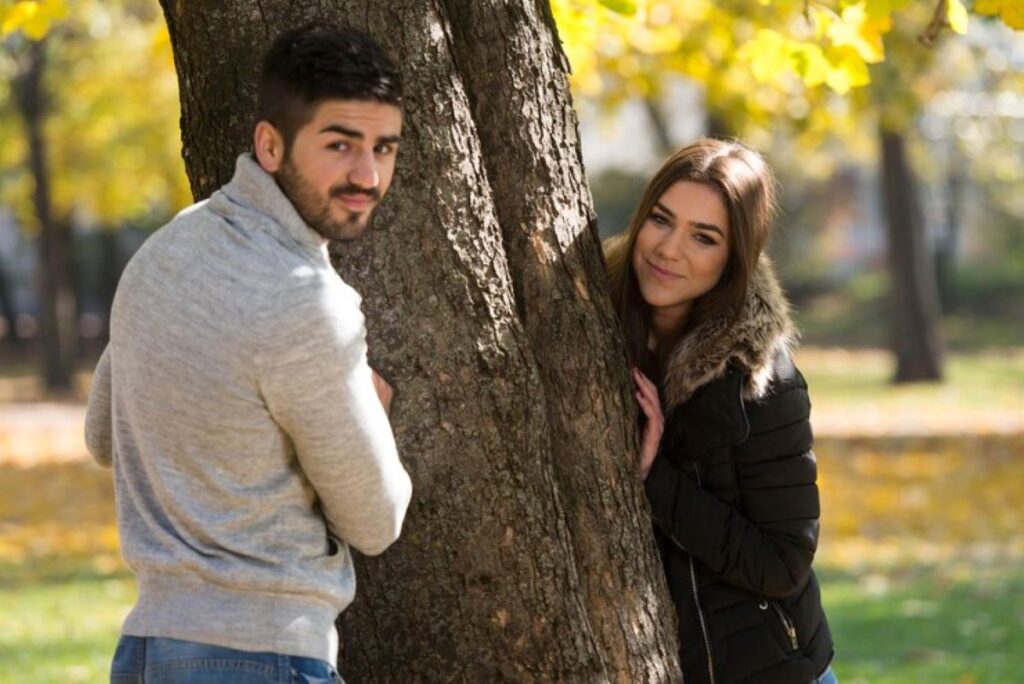 Gladesville arborist